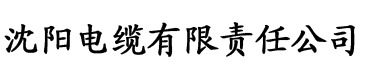 果哥视频白金版完整版电缆厂logo